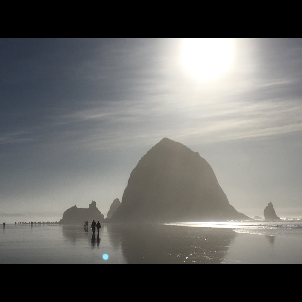 Meet your Posher, Chandelle